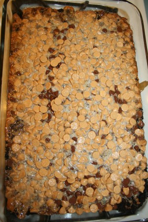 Double Delcious Bars