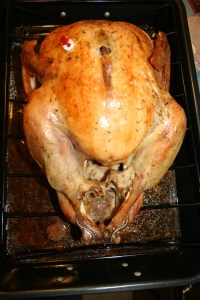 It was their turn to cook dinner this time, and we were treated to turkey and all the fixins! 