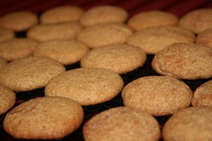 I love making and eating Snickerdoodles and I was glad we didn't need to give them up this Christmas!