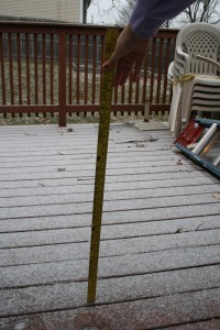 On Friday morning it didn't seem like the snow was going to do a whole lot.