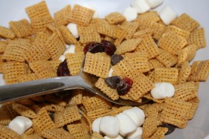 Blizzard Nemo Trail Mix