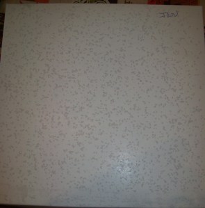 My box of zeppole. My name is on the box and everything. And, you can see by all the raindrops how nasty it was outside.