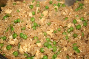 This Vegetable Fried Rice was a huge hit!