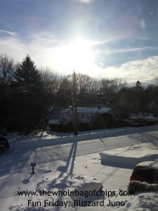 The day after the storm dawned so bright and beautiful, a perfect, sunshiny day.