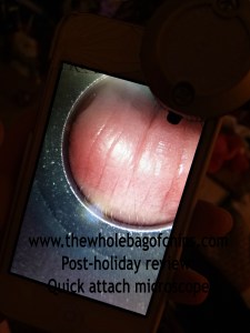 Or this? Any guesses what this is a picture of? Answers can be found at the bottom of the post.