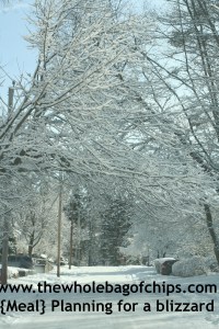 Don't they say beauty comes with sacrifice? There's some prep involved in getting ready for a snowstorm.