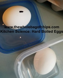 We ended up marking our egg with a Sharpie to see if it was the same one not cracking each time or not. It was.