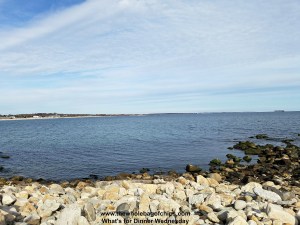 Just seeing it reminds me that summer is almost here!